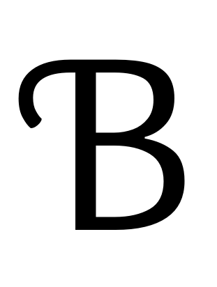 Bhook